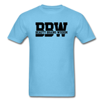 BBW Beauty Brains Wisdom - aquatic blue